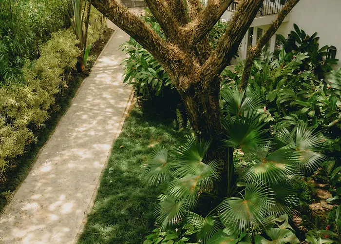 Casa Colonial Beach & Spa