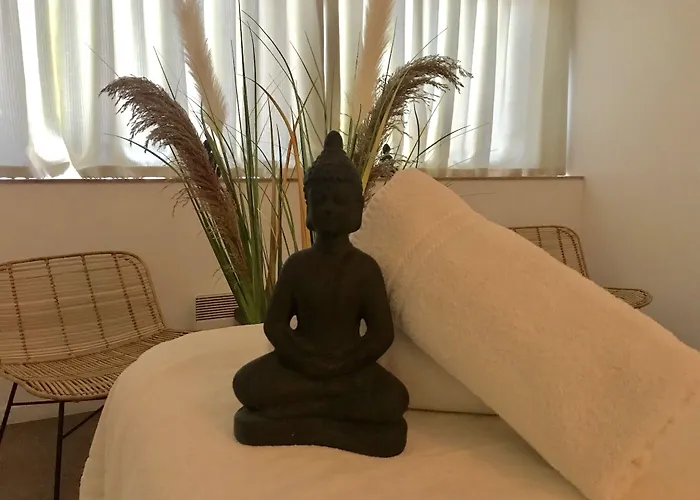 Le Windsor, Jungle Art Hotel