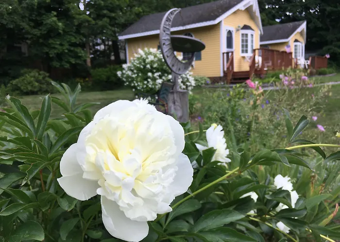 Sand Bar Cottage Inn