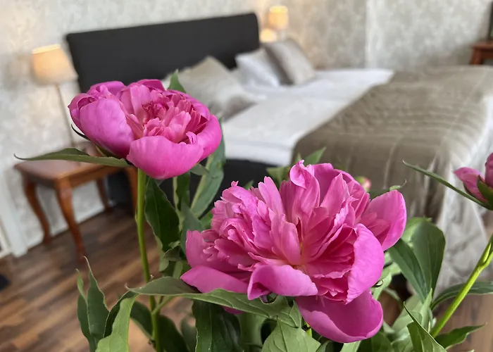 Hotell Bele