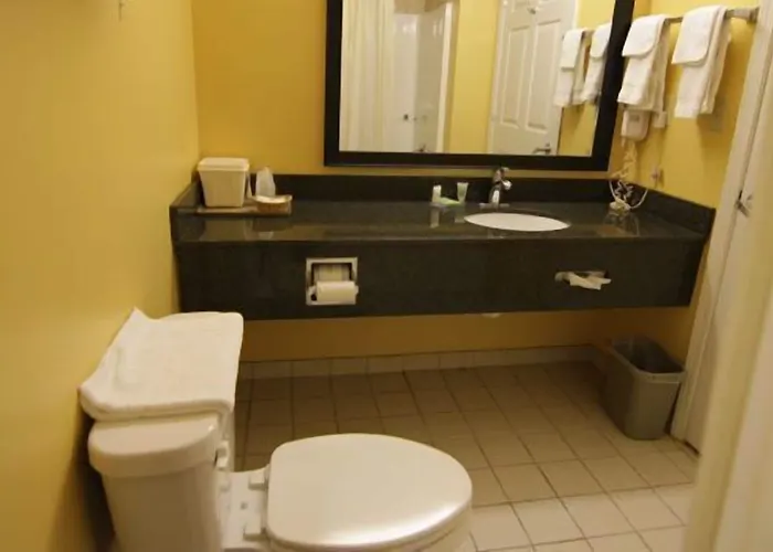 Magnolia Inn And Suites Southaven