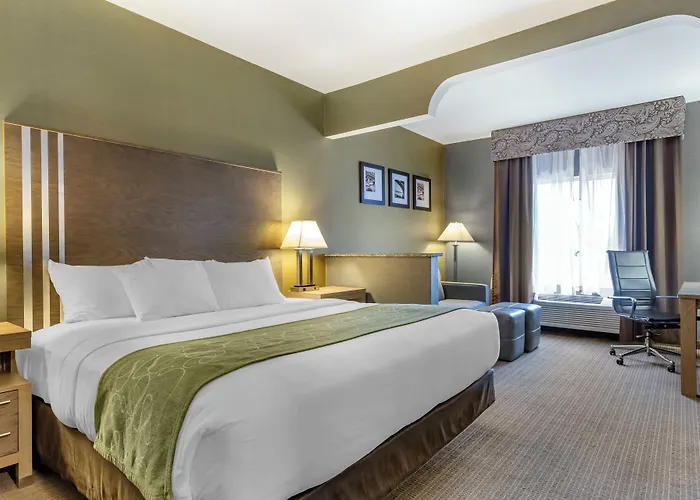 Comfort Suites Southgate-Detroit