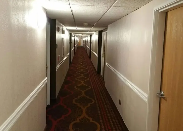 Lexington Inn And Suites