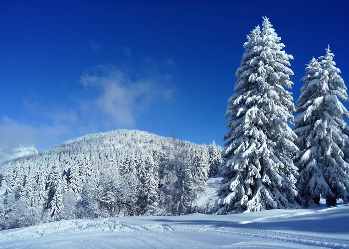 Chalet Hotel Du Bois