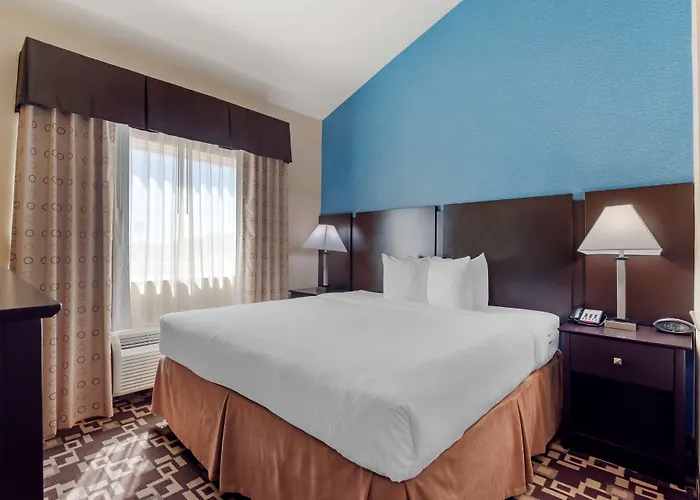 Best Western Plus Arlington North Hotel & Suites