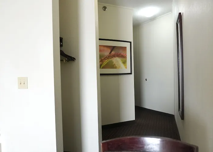 American Inn & Suites