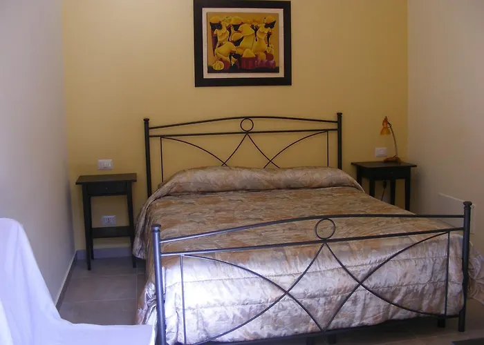 B&B Freezone