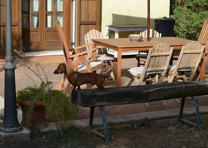 B&B Rollo Garden