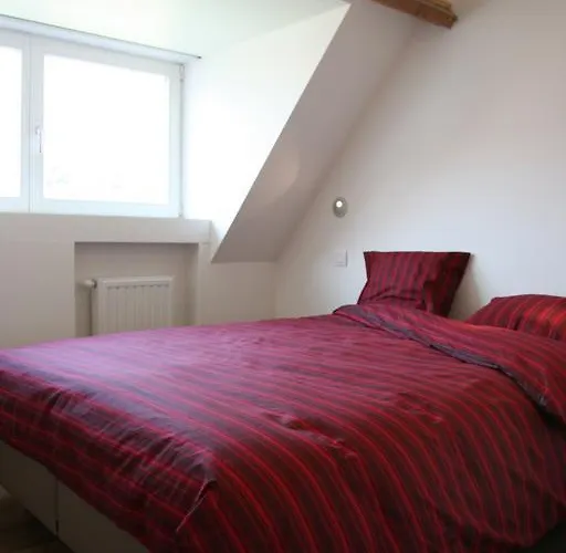 B&B Hof Ter Kwaremont