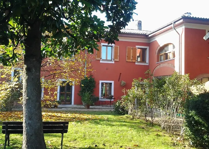 Il Pettirosso