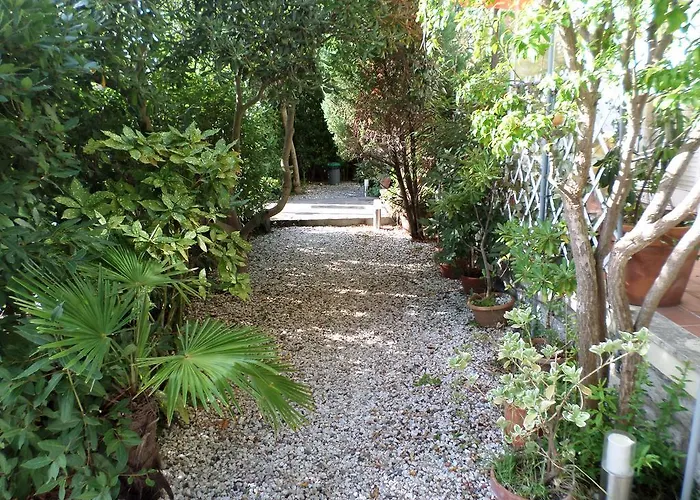 Le Midi Versilia