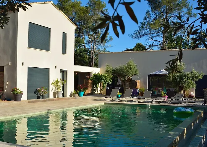 Sous Les Oliviers - Piscine Chauffee - Studios De Standing Climatises