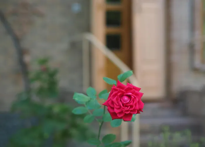 Antica Family Guest House Samarkand
