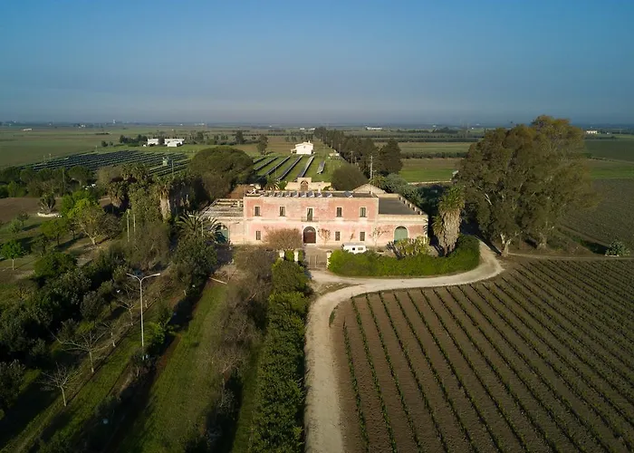 B&B Masseria Mazzetta - La Corte del Falconiere