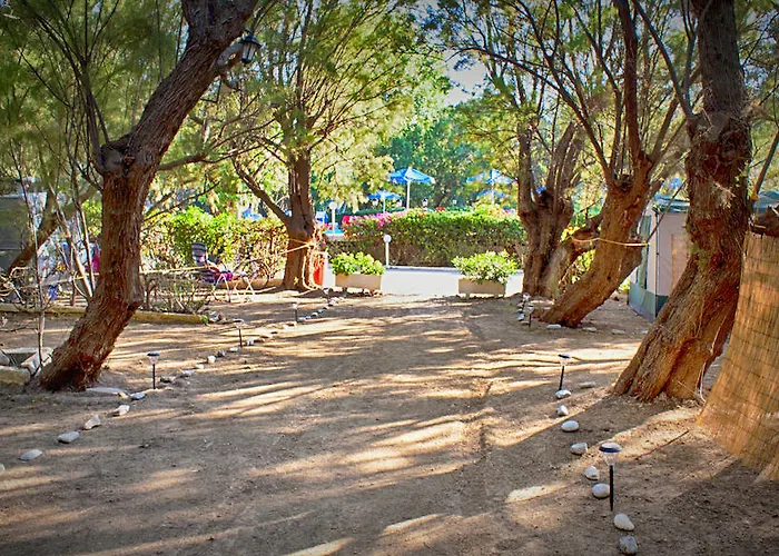 Camping Nopigia