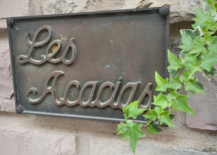 Hotel Les Acacias