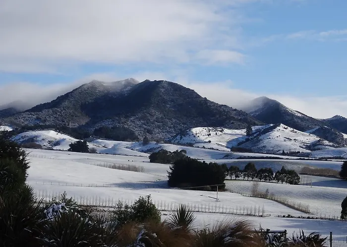 Hokonui Bed And Breakfast