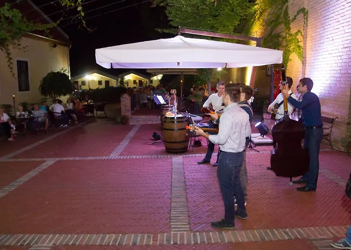 Hotel Stari Podrum