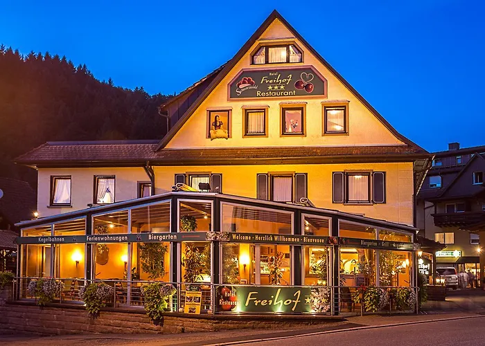 Hotel Freihof Oberharmersbach