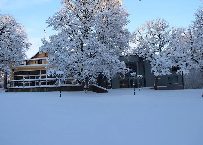 Villa Hotel Theresa