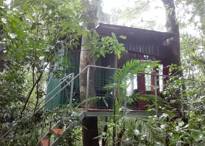 The Green Tree Lodge
