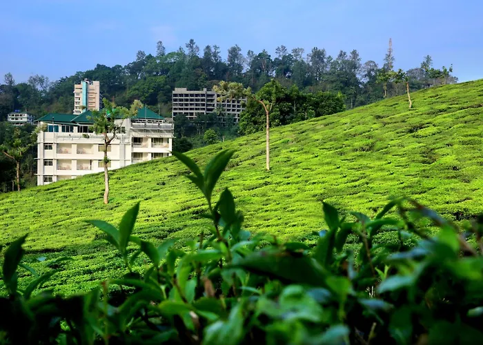 Monsoon Grande