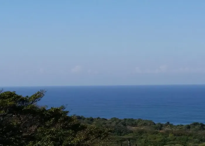 Fig Tree Manor Self Catering