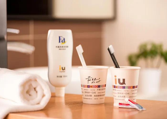 Iu Hotel Urumqi Shinianzi Bus Station