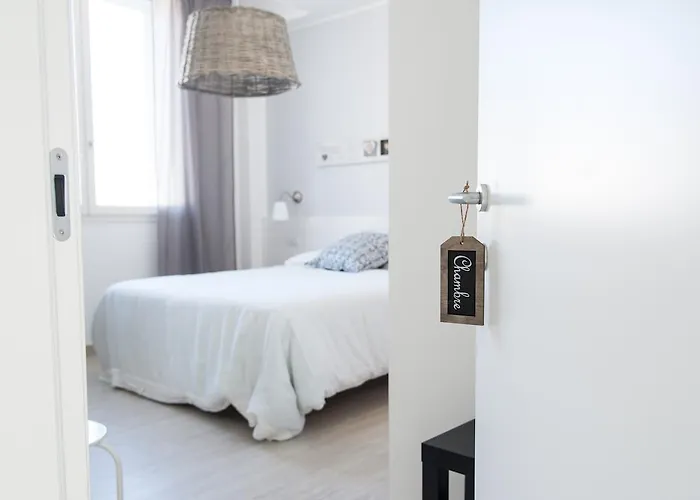 B&B Bucci 54
