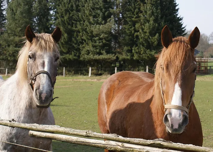 Landgasthaus Zum Naturschutzpark