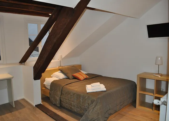 Hôtel du Raisin