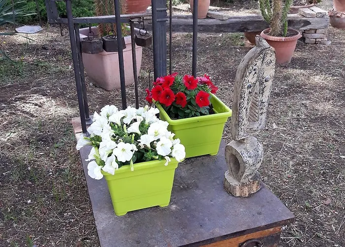 B&B Villa Garden