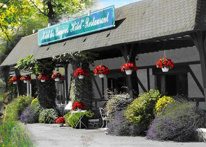 Motel Des Bruyeres