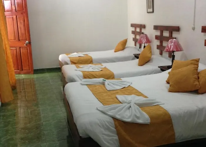Hotel Don Robert