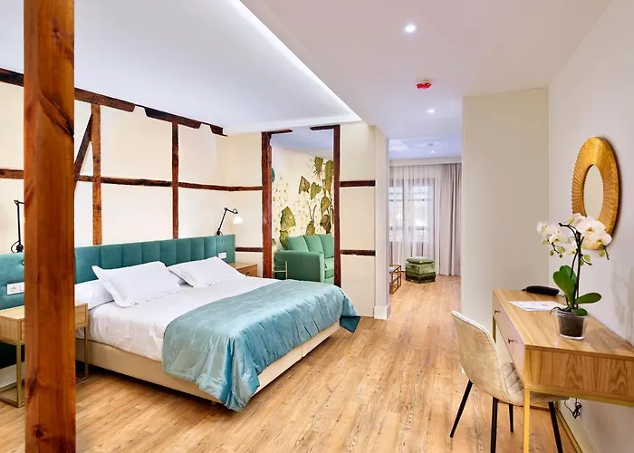 Hotel Boutique Adolfo