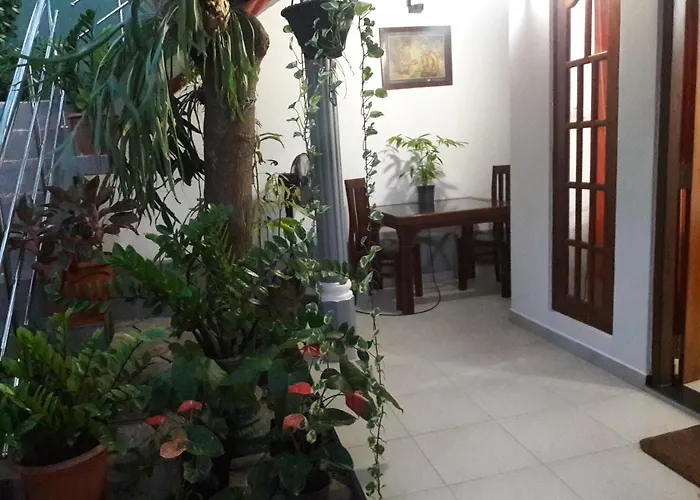 Aayu'S Guest