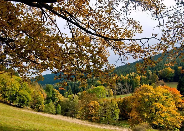 Hotel Gorski Czarna Gora