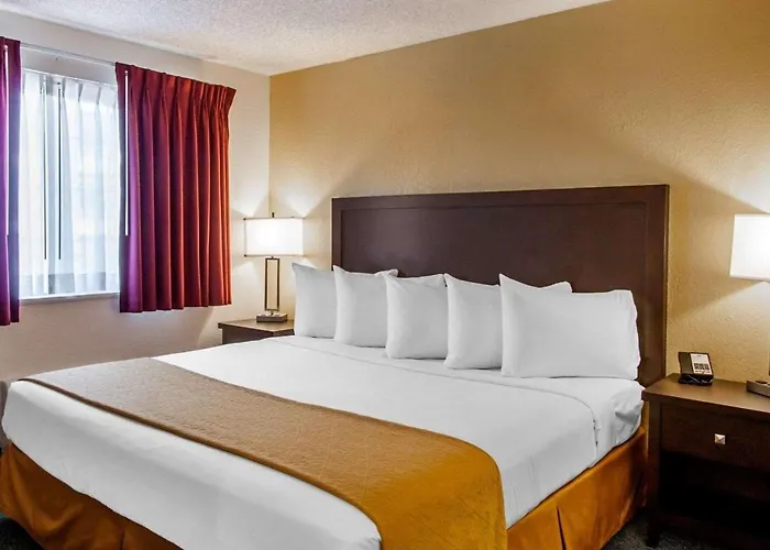 Quality Inn & Suites Springfield - Eugene North