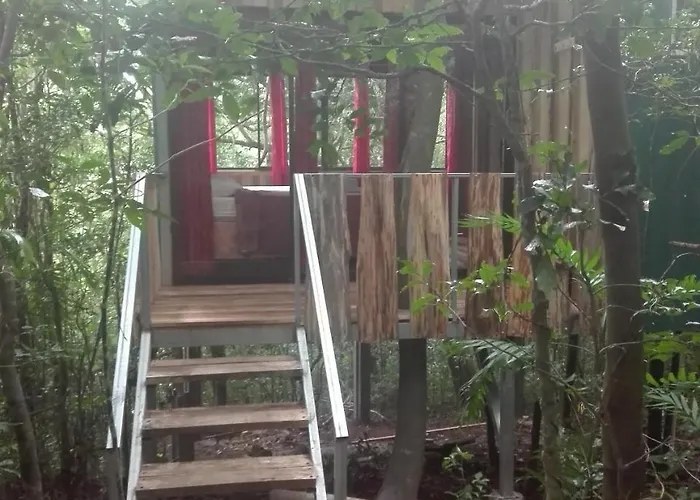 The Green Tree Lodge