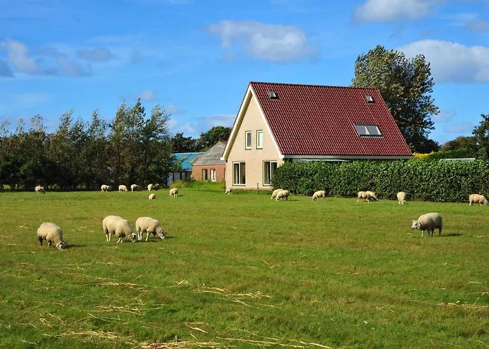 Witte Weelde Texel