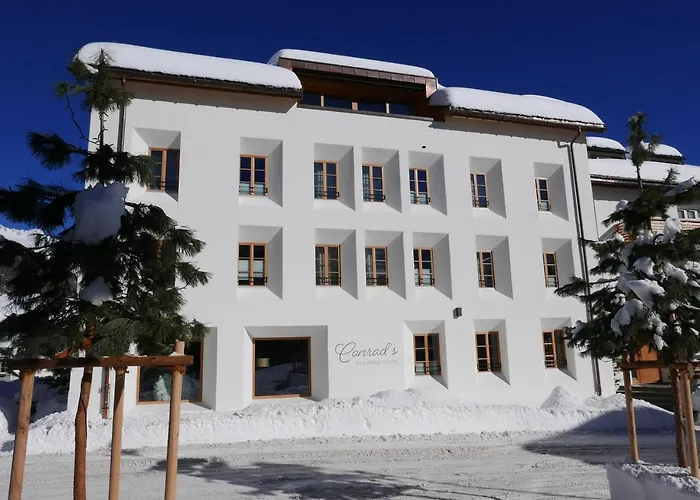 Conrad'S Mountain Lodge