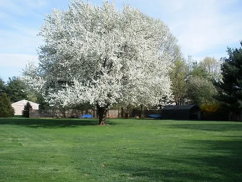 Holly Thorn House Inn