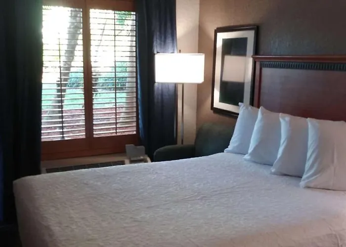 Surestay Plus Hotel By Best Western Clearwater Central