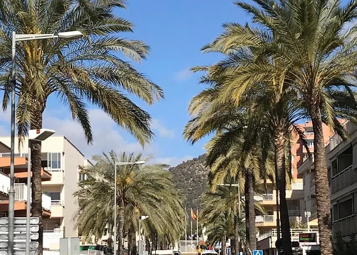 Apartamentos Las Palmeras