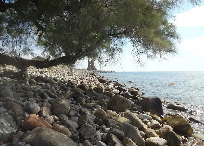 Il Vecchio Pescatore