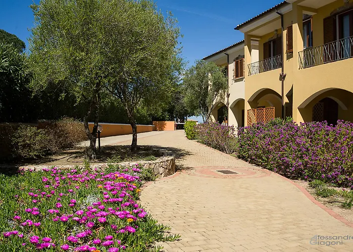 Residenze L'Isola Surf House