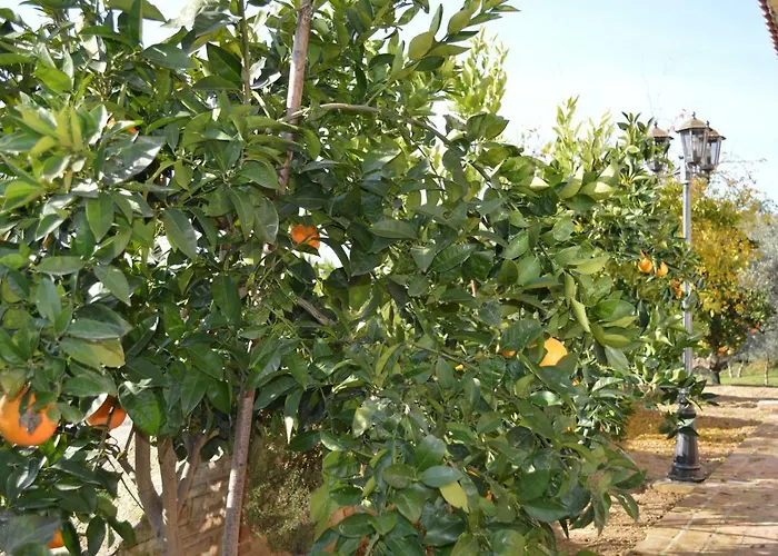 Casale del Sole