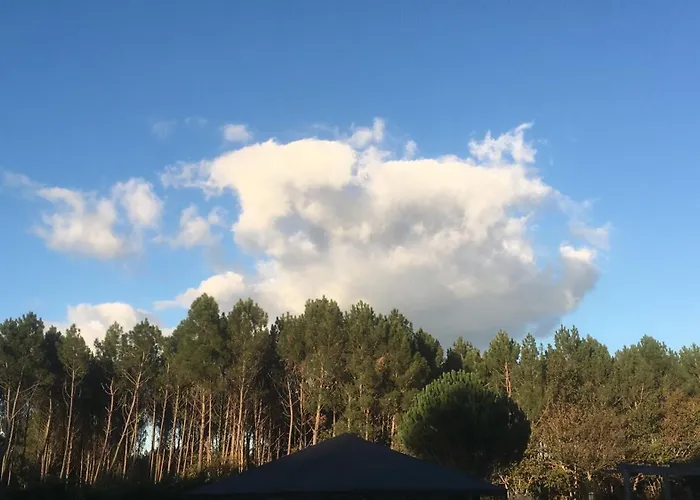 La maison d'été de mes parents