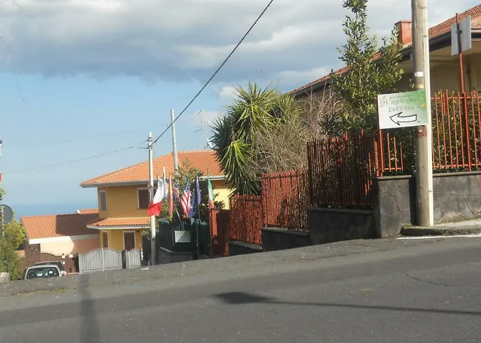 L'Agrifoglio Dell'Etna