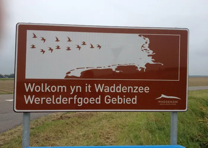 'T Laaisterplakky